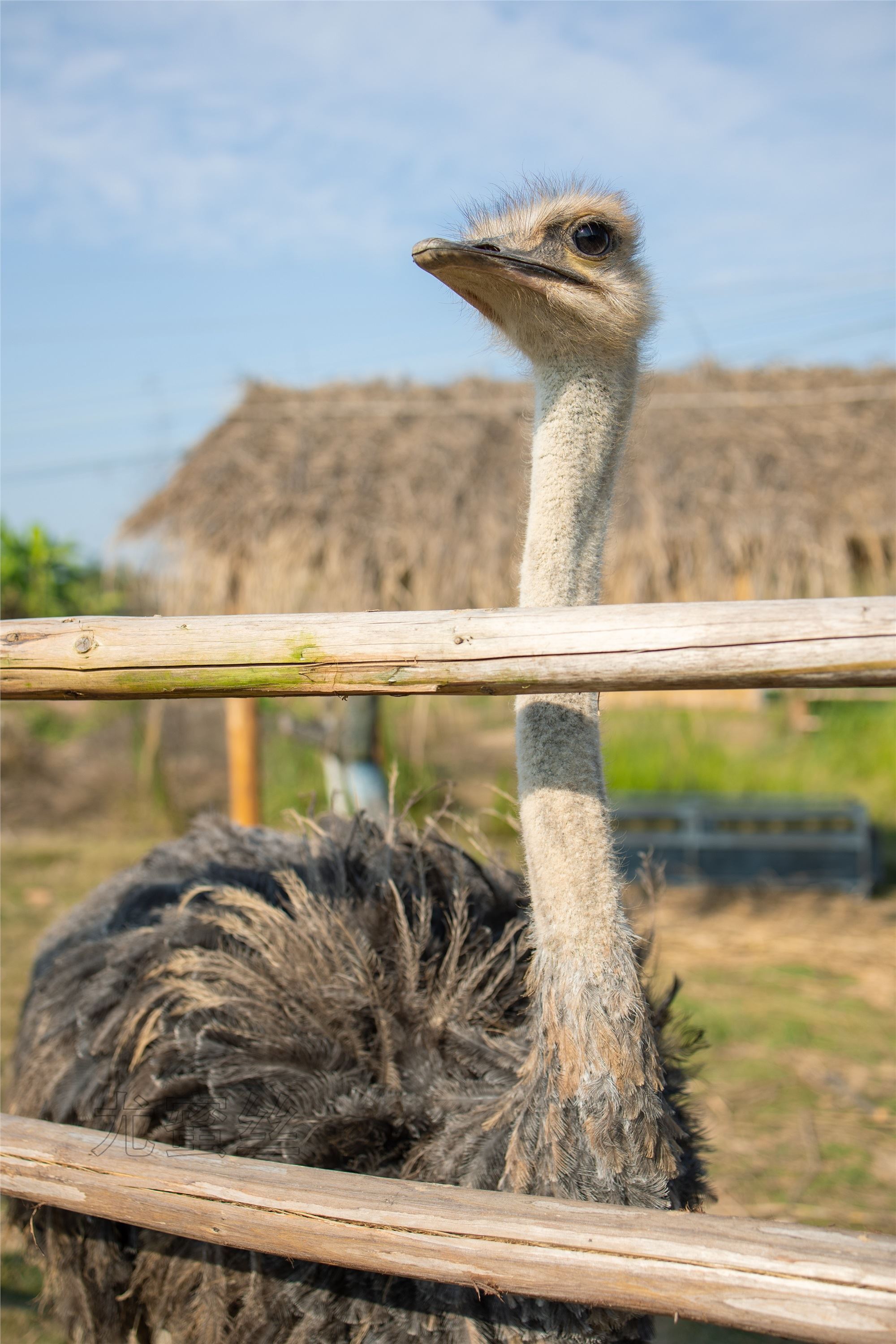 尤蜜丝 穿搭写真 NO.086